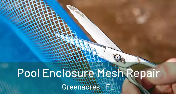  Pool Enclosure Mesh Repair Greenacres - FL